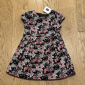 Beautiful Black And Pink Floral Janie and Jack Dress